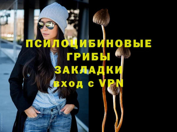 PSILOCYBIN Касимов