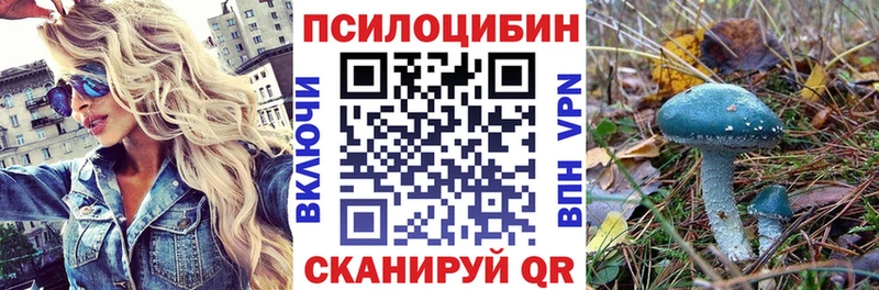 Псилоцибиновые грибы мицелий  hydra рабочий сайт  Кириллов 